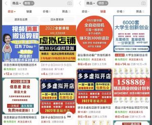 图片[1]-加盟做一个和我一样的网站！实现躺赚梦！-云网创