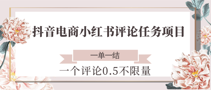 抖音电商小红书评论任务项目，一个评论0.5，一单一结 不限量-云网创