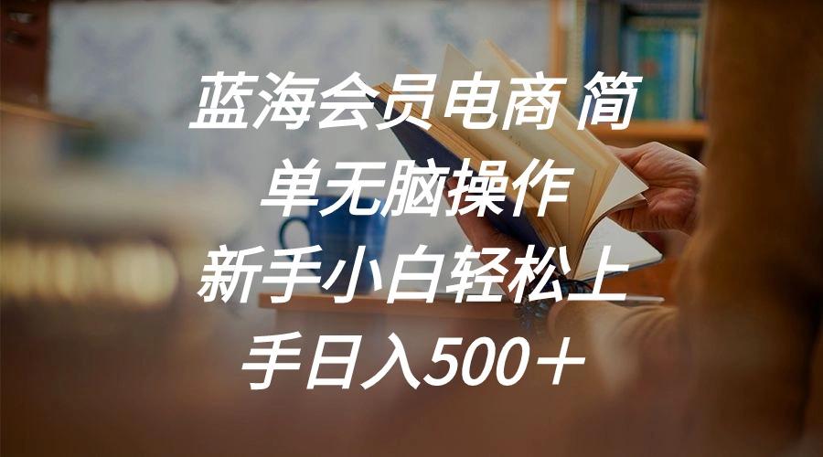蓝海会员电商 简单无脑操作 新手小白轻松上手日入500+-云网创