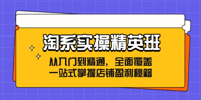 淘系实操精英班：从入门到精通，全面覆盖，一站式掌握店铺盈利秘籍-云网创