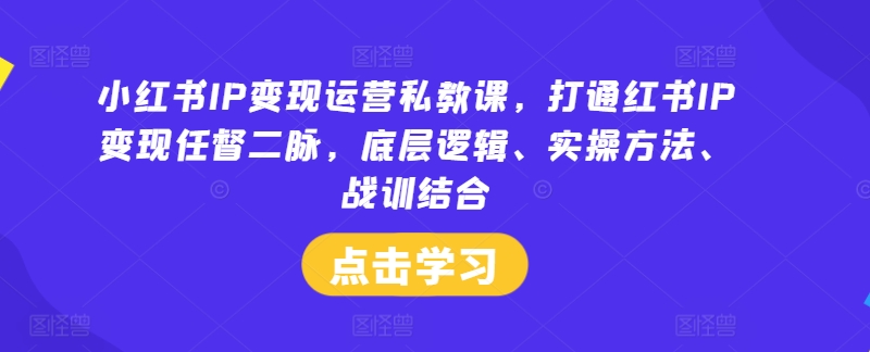 小红书IP变现运营私教课,打通红书IP变现任督二脉,底层逻辑、实操方法、战训结合-云网创