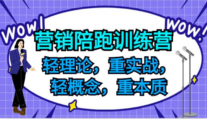 营销陪跑训练营，轻理论，重实战，轻概念，重本质，适合中小企业和初创企业的老板-云网创