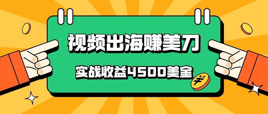 国内爆款视频出海赚美刀，实战收益4500美金，批量无脑搬运，无需经验直接上手-云网创