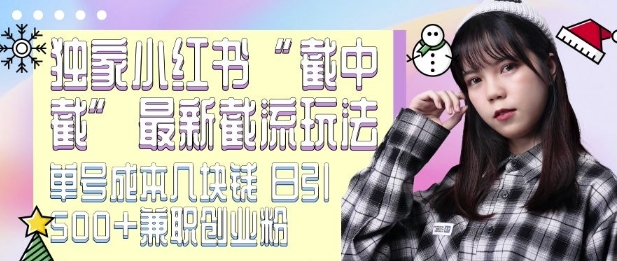 最新小红书截流玩法 独家截中截 单号成本几块钱 日引500+CY粉JZ粉-云网创