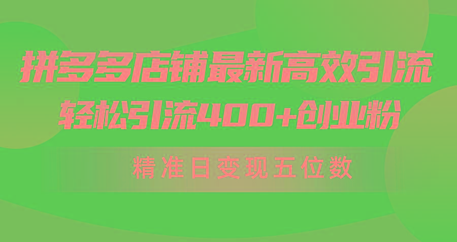 (10041期)拼多多店铺最新高效引流术，轻松引流400+创业粉，精准日变现五位数！-云网创