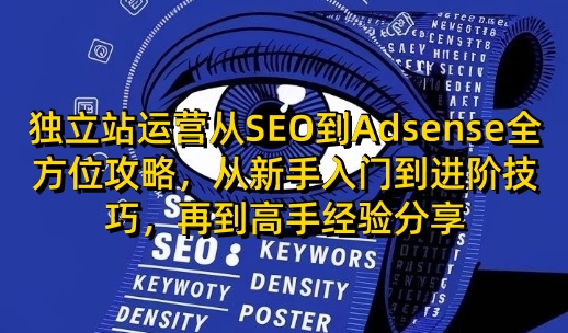 独立站运营从SEO到Adsense全方位攻略，从新手入门到进阶技巧，再到高手经验分享-云网创