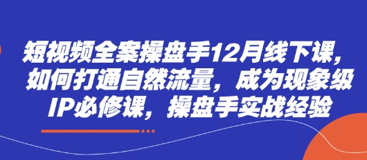 短视频全案操盘手12月线下课，如何打通自然流量，成为现象级IP必修课，操盘手实战经验-云网创
