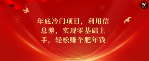 年底冷门项目，利用信息差，实现零基础上手，轻松赚个肥年钱【揭秘】-云网创