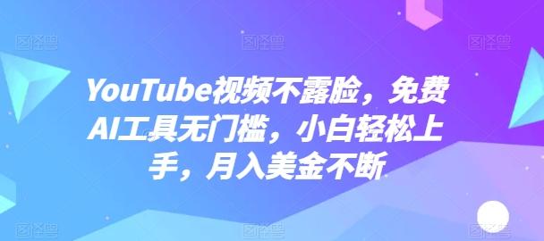 YouTube视频不露脸，免费AI工具无门槛，小白轻松上手，月入美金不断【揭秘】-云网创