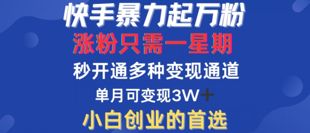 快手暴力起万粉,涨粉只需一星期,多种变现模式,直接秒开万合,单月变现过W【揭秘】-云网创