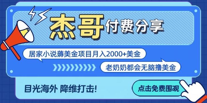 拆解海外撸美金项目月入2000美刀详细指导-云网创