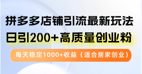 拼多多店铺引流最新玩法，日引200+高质量创业粉，每天稳定1000+收益(...-云网创