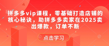 拼多多vip课程，零基础打造店铺的核心秘诀，助拼多多卖家在2025卖出爆款，订单不断-云网创