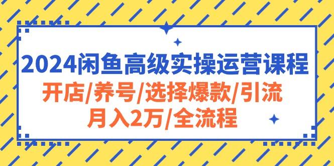 2024闲鱼高级实操运营课程：开店/养号/选择爆款/引流/月入2万/全流程-云网创