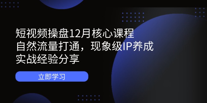 短视频操盘12月核心课程：自然流量打通，现象级IP养成，实战经验分享-云网创