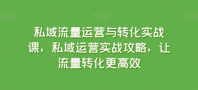 私域流量运营与转化实战课，私域运营实战攻略，让流量转化更高效-云网创