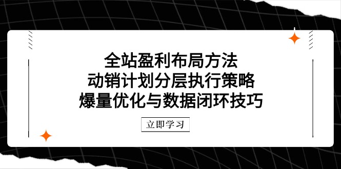 全站盈利布局方法：动销计划分层执行策略，爆量优化与数据闭环技巧-云网创