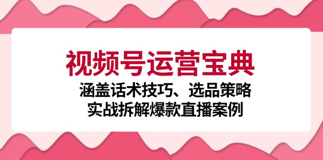 视频号运营宝典:涵盖话术技巧、选品策略、实战拆解爆款直播案例-云网创