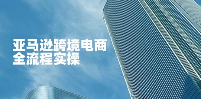 亚马逊跨境电商全流程实操，教你从零开始，掌握店铺运营与广告技巧-云网创