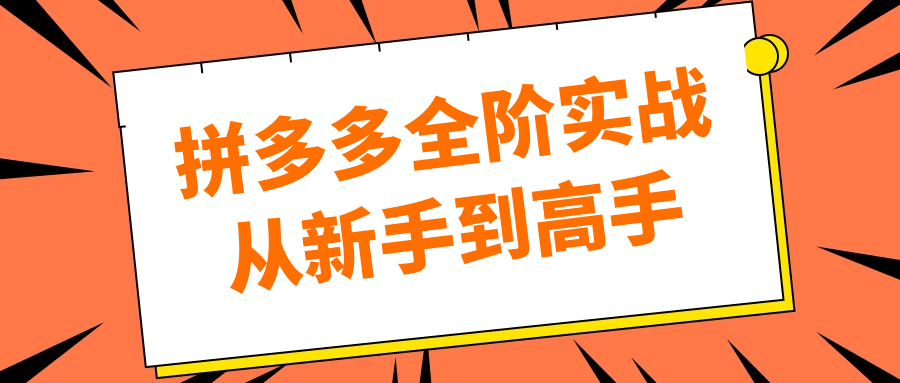 拼多多全阶实战从新手到高手-云网创