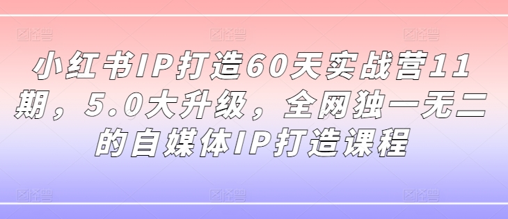 小红书IP打造60天实战营11期，5.0大升级，全网独一无二的自媒体IP打造课程-云网创