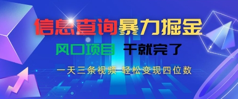 信息查询暴力掘金，一天三条视频，轻松变现四位数，风口项目干就完了【揭秘】-云网创
