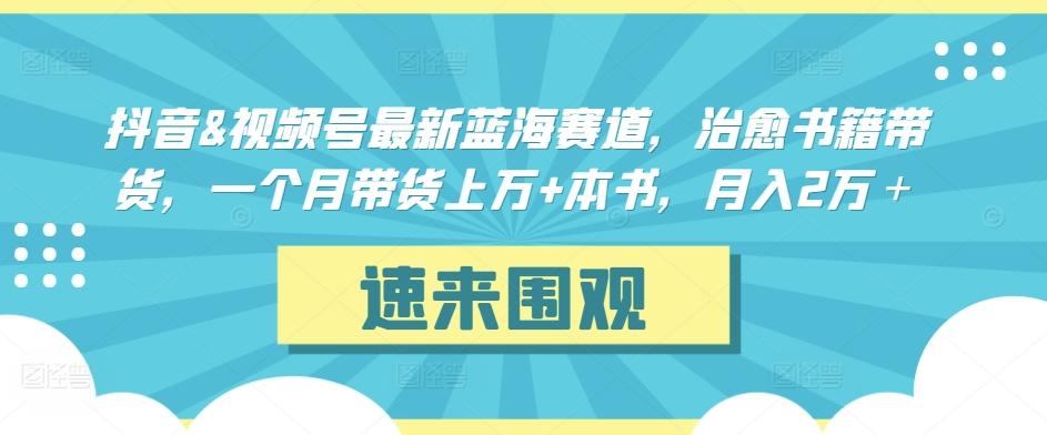 抖音&视频号最新蓝海赛道，治愈书籍带货，一个月带货上万+本书，月入2万＋【揭秘】-云网创