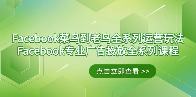 Facebook-菜鸟到老鸟全系列运营玩法+Facebook-专业广告投放全系列课程-云网创