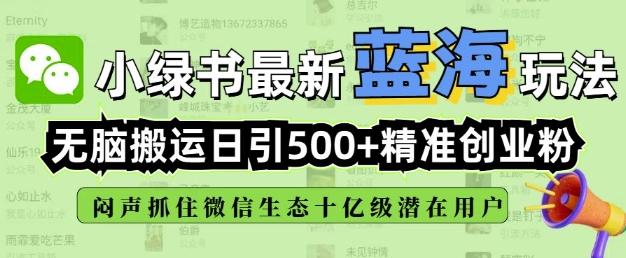 小绿书无脑搬运引流，全自动日引500精准创业粉，微信生态内又一个闷声发财的机会-云网创