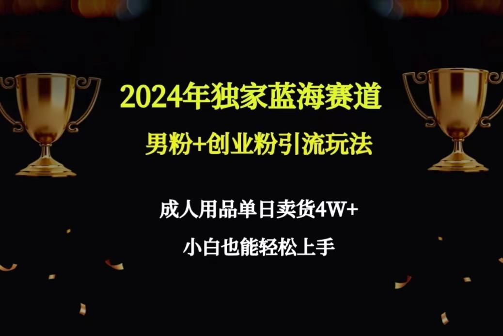 2024年独家蓝海赛道男粉+创业粉引流玩法，成人用品单日卖货4W+保姆教程-云网创