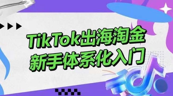 TikTok出海淘金，新手体系化入门，零基础快速入门，掌握短视频、直播带货等引流到变现的知识-云网创