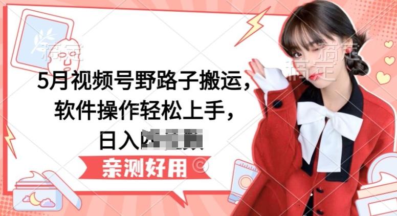 5月视频号野路子搬运，软件操作轻松上手，日入三位数【揭秘】-云网创
