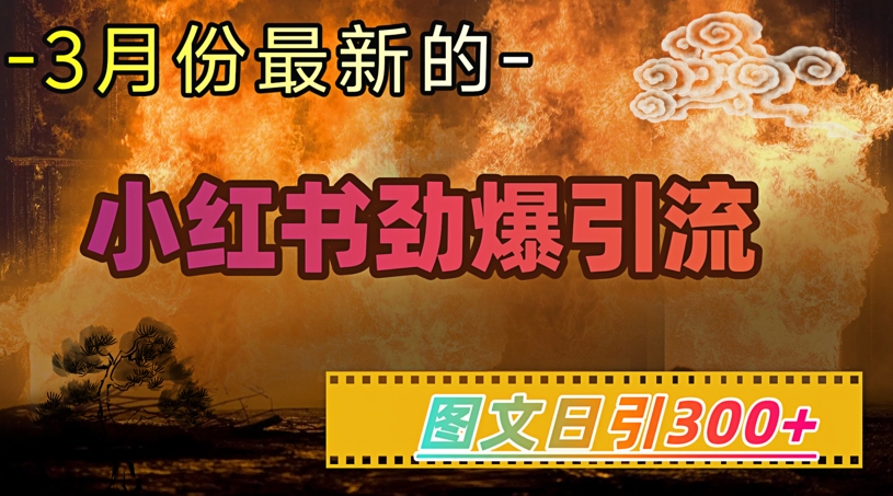 小红书超劲爆引流手段，图文日引300+轻松变现1W-云网创