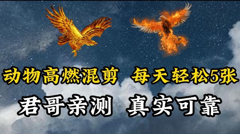 动物超燃混剪,每天轻松5张,剪辑简单大家爱看【揭秘】-云网创