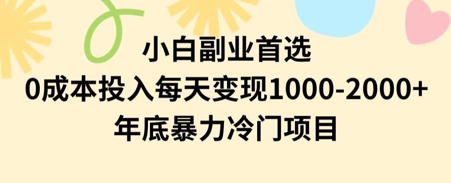 小白副业首选，0成本投入，每天变现1000-2000年底暴力冷门项目【揭秘】-云网创