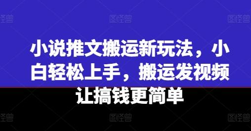小说推文搬运新玩法，小白轻松上手，搬运发视频让搞钱更简单-云网创