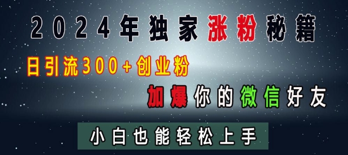 2024年独家涨粉秘籍，日引流300+创业粉，加爆你的微信好友，小白也能轻松上手-云网创