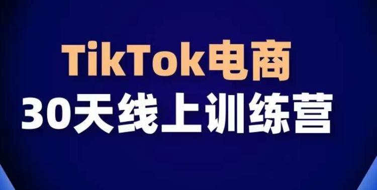TikTok电商带货30天线上课，不可错过的全球流量洼地！-云网创