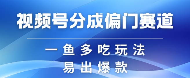 视频号创作者分成计划偏门类目，容易爆流，实拍内容简单易做【揭秘】-云网创