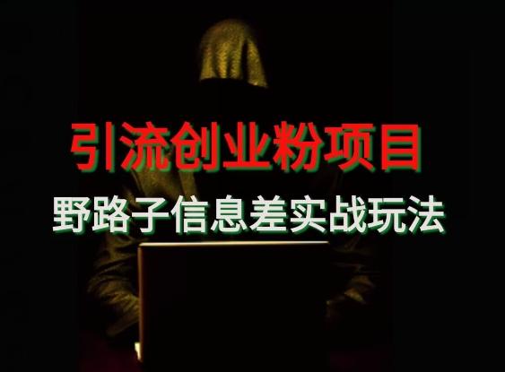 【引流创业粉】野路子信息差玩法实战教学-云网创