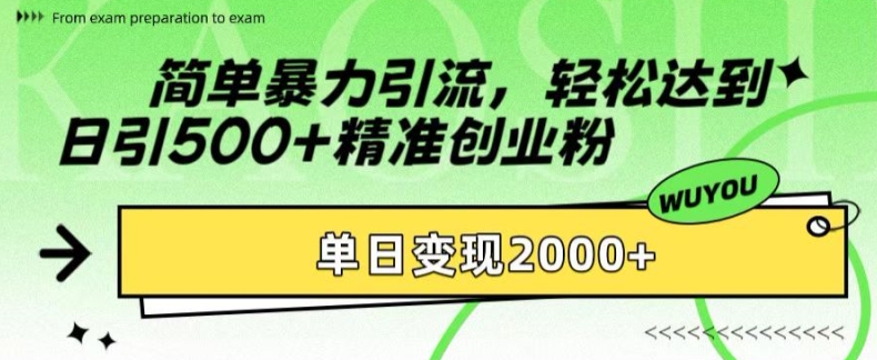 简单暴力引流，轻松达到日引500+精准创业粉，单日变现2k【揭秘】-云网创