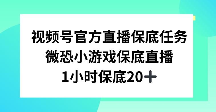 视频号直播任务，微恐小游戏，1小时20+【揭秘】-云网创