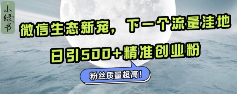 微信生态新宠小绿书:下一个流量洼地,日引500+精准创业粉,粉丝质量超高-云网创