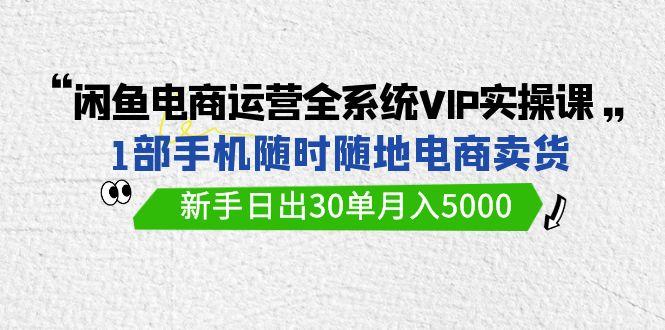 (9547期)闲鱼电商运营全系统VIP实战课，1部手机随时随地卖货，新手日出30单月入5000-云网创