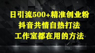 日引流500+精准创业粉，抖音共情自热打法，工作室都在用的方法-云网创
