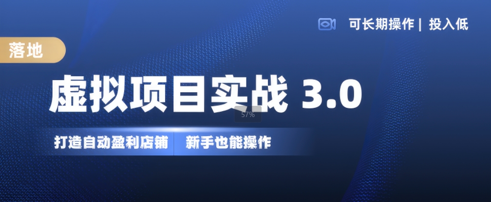 虚拟项目实战3.0,打造自动盈利店铺,可长期操作投入低,新手也能操作-云网创