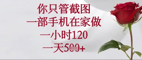 你只管截图，一部手机在家操作，一小时120.一天5张【揭秘】-云网创