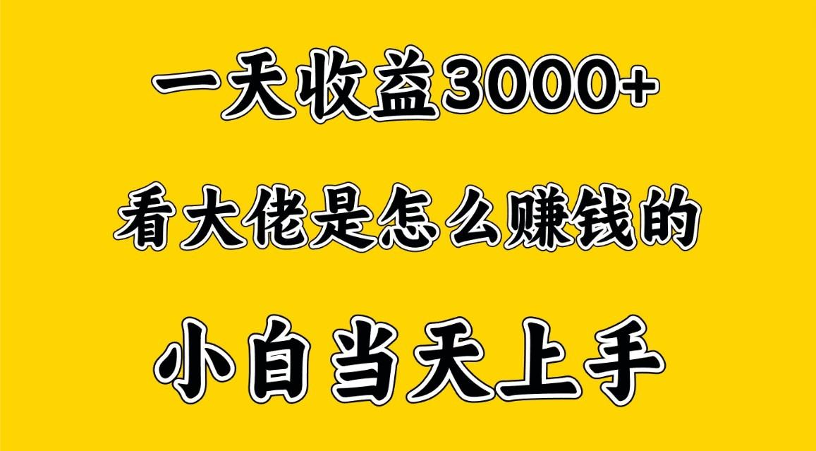 一天赚3000多，大佬是这样赚到钱的，小白当天上手，穷人翻身项目-云网创