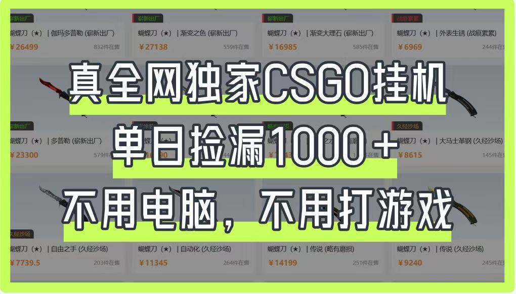 真全网独家CSGO挂机,单日捡漏1000+,不用电脑,不用养号-云网创