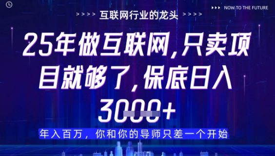 什么！25年你还在找项目做？风口早就变了，卖项目才是稳挣不赔【揭秘】-云网创